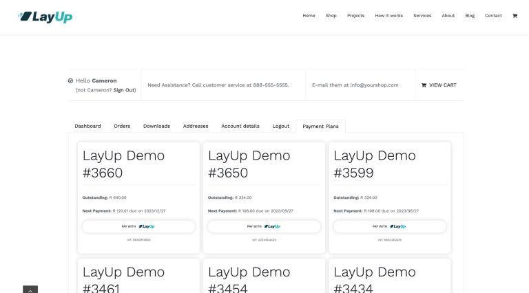 layup woocommerce plugin screenshot